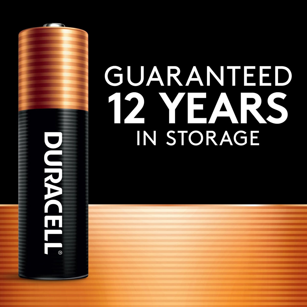 Duracell Coppertop AAA Alkaline Batteries, All Purpose, 8-pk