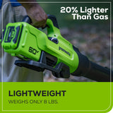Greenworks 60V 630CFM 170MPH Leaf Blower 2.5Ah Battery 3A Charger