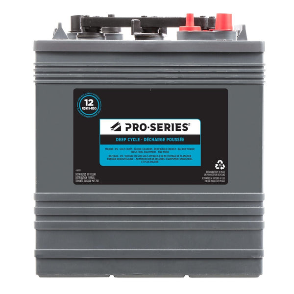 MOTOMASTER AGM Group Size 401 Auxiliary Battery, 180 CCA M6