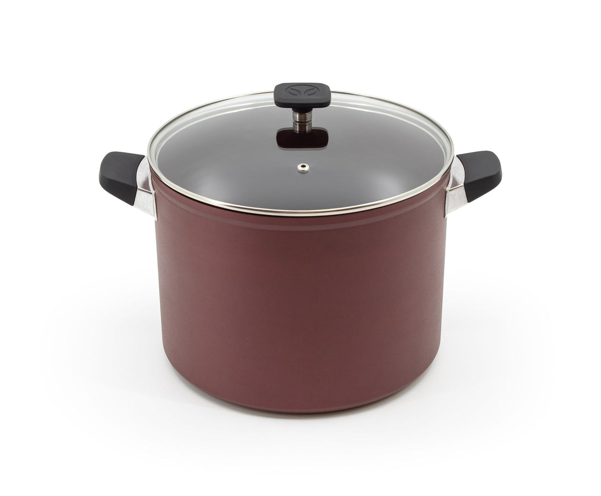 PADERNO Classic Non-Stick Stock Pot, 10-qt