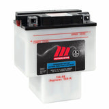 PRO-SERIES Commercial Group 19L 6-Volt Battery, 440 CCA