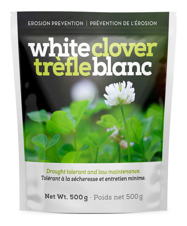 White Clover Erosion Control Grass Seed 500g C6