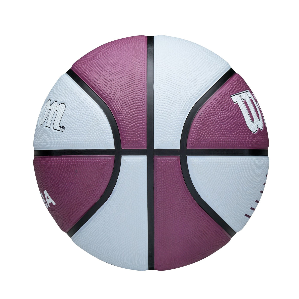 Wilson WNBA Toronto Tempo Team Tribute Basketball, Official Size 6 (28.5-in), Purple